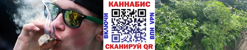где купить наркотик  Рыбное  МАРИХУАНА White Widow 